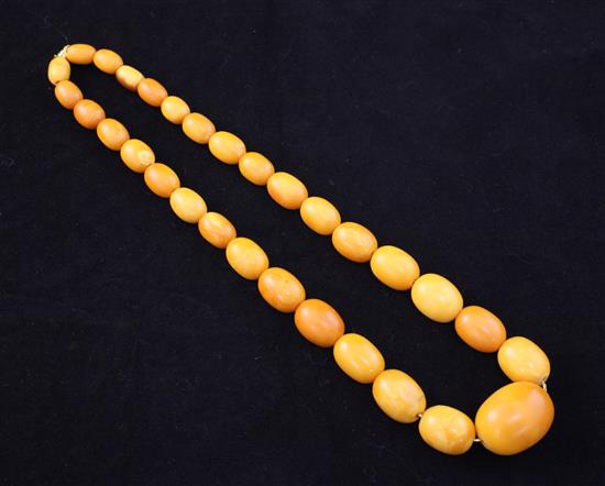 A single strand graduated amber bead necklace, 18.75in.